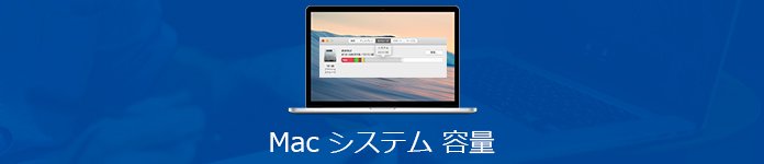 Mac システム容量 減らす