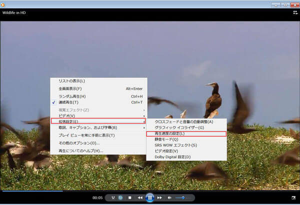 Windows Media Player