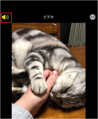 iPhone標準「写真」アプリで動画から音声を消す